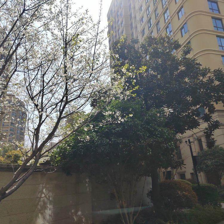 整租·人信悦玺