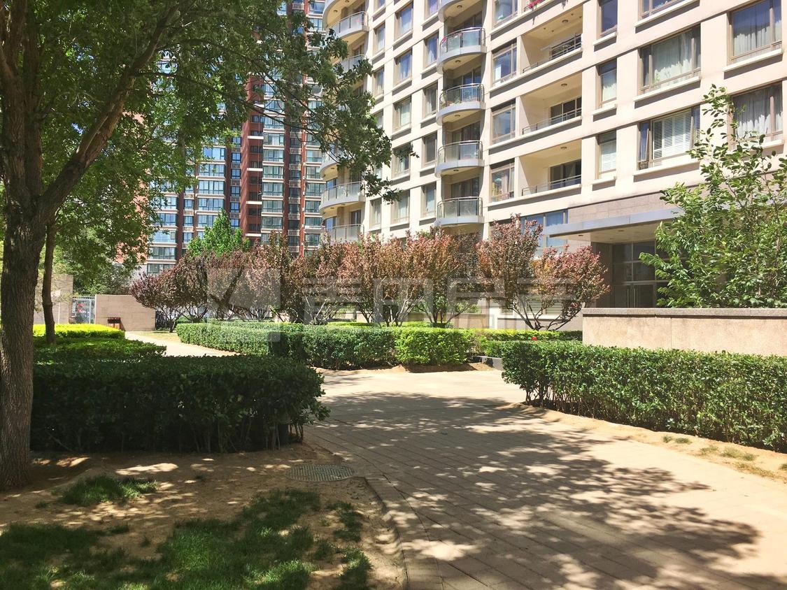 整租·公园大道