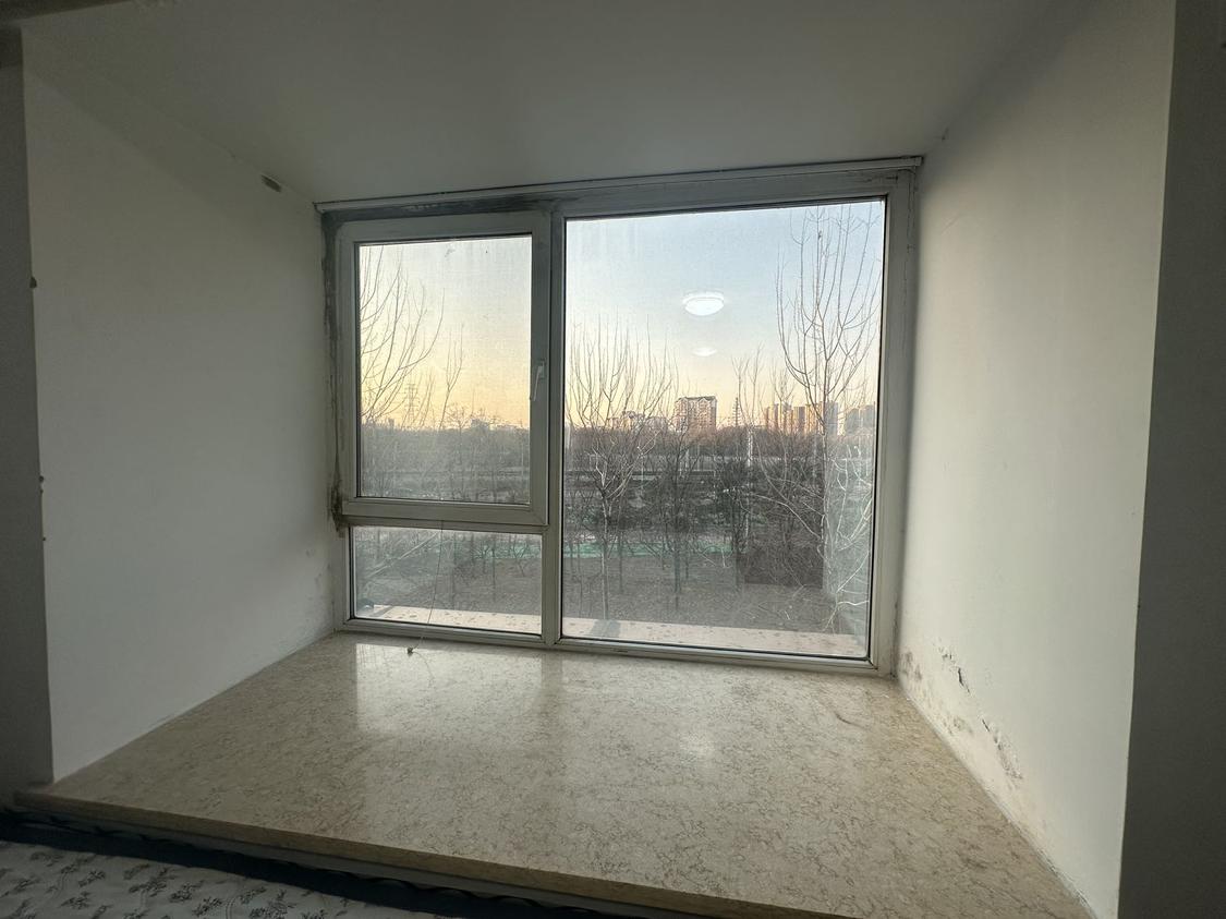 整租·东方郁金香