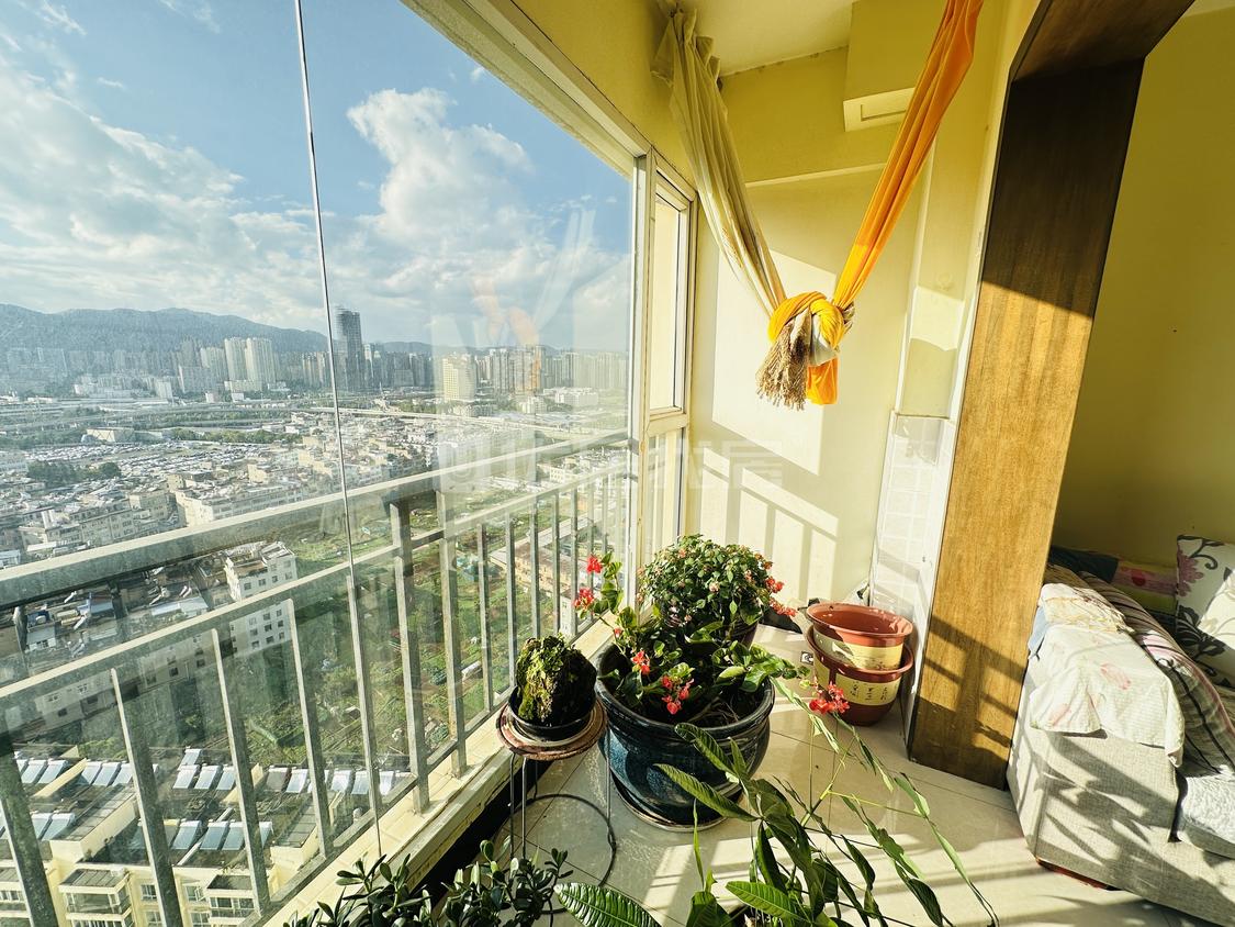 整租·都市春天