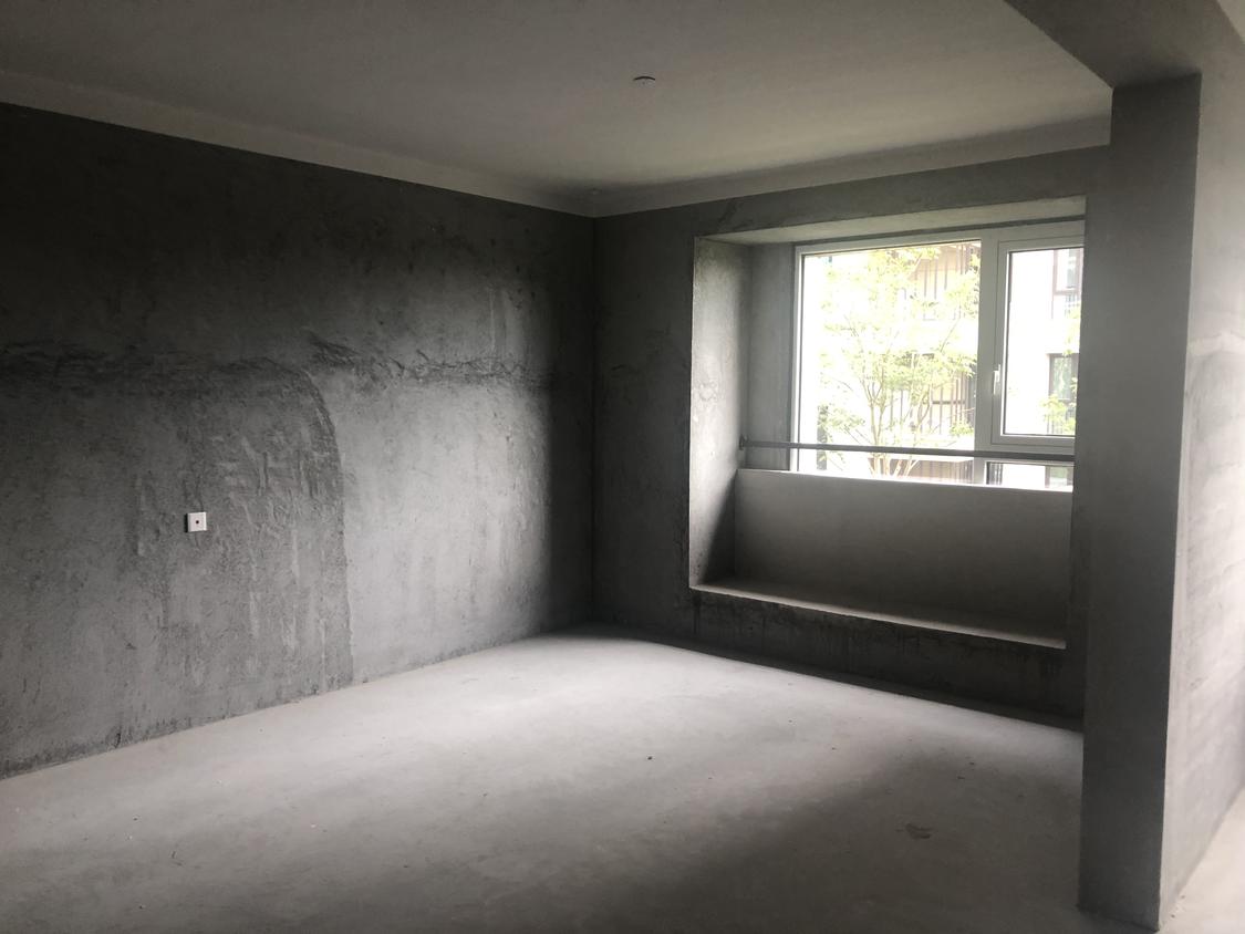 整租·维科望江府