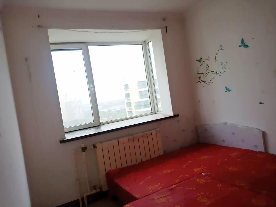 整租·鲁泽观天下