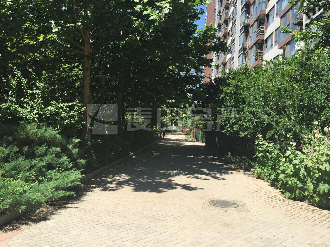 整租·嘉铭桐城(D区)