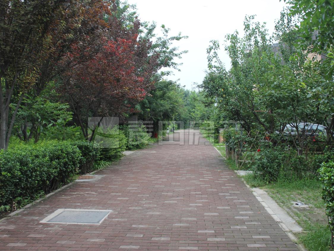 整租·领秀新硅谷(CD区)