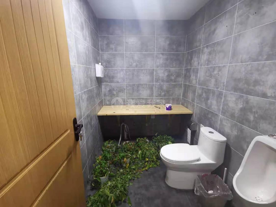 整租·新世界铂悦轩