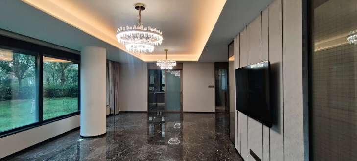 整租·奥体金茂府