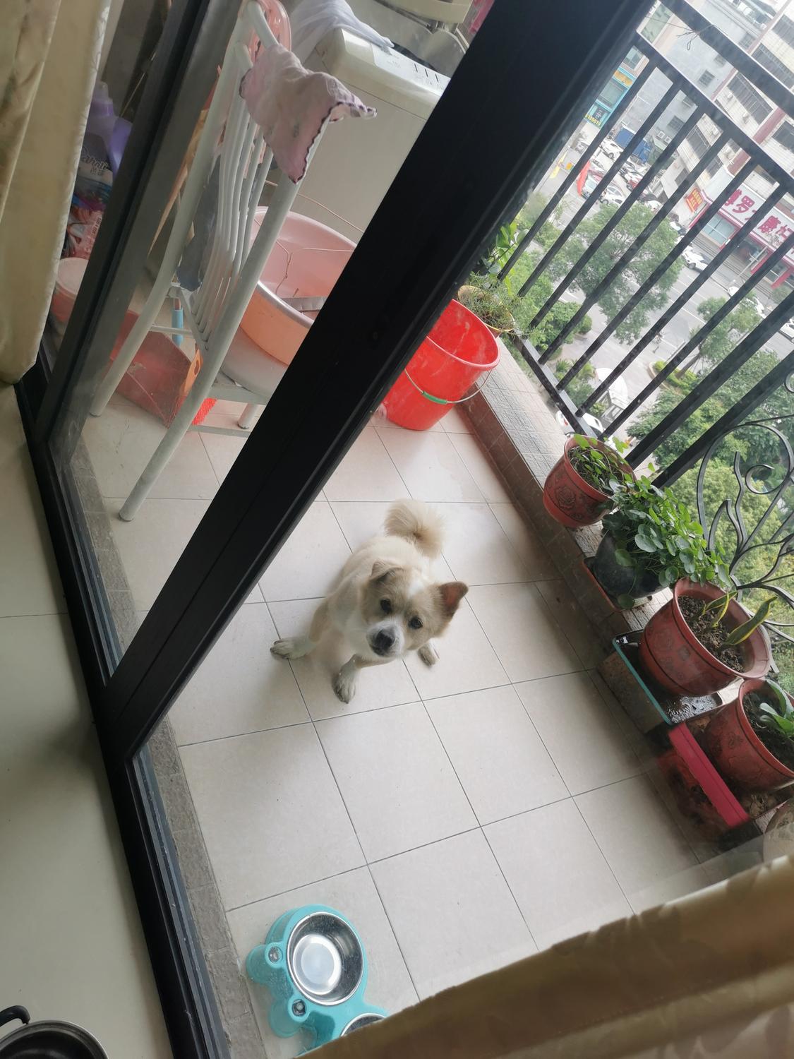 整租·嘉豪御景湾花园