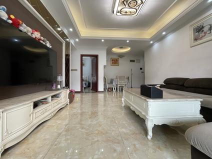 南岸南滨路整租 武夷滨江2室2厅/93平/低楼层