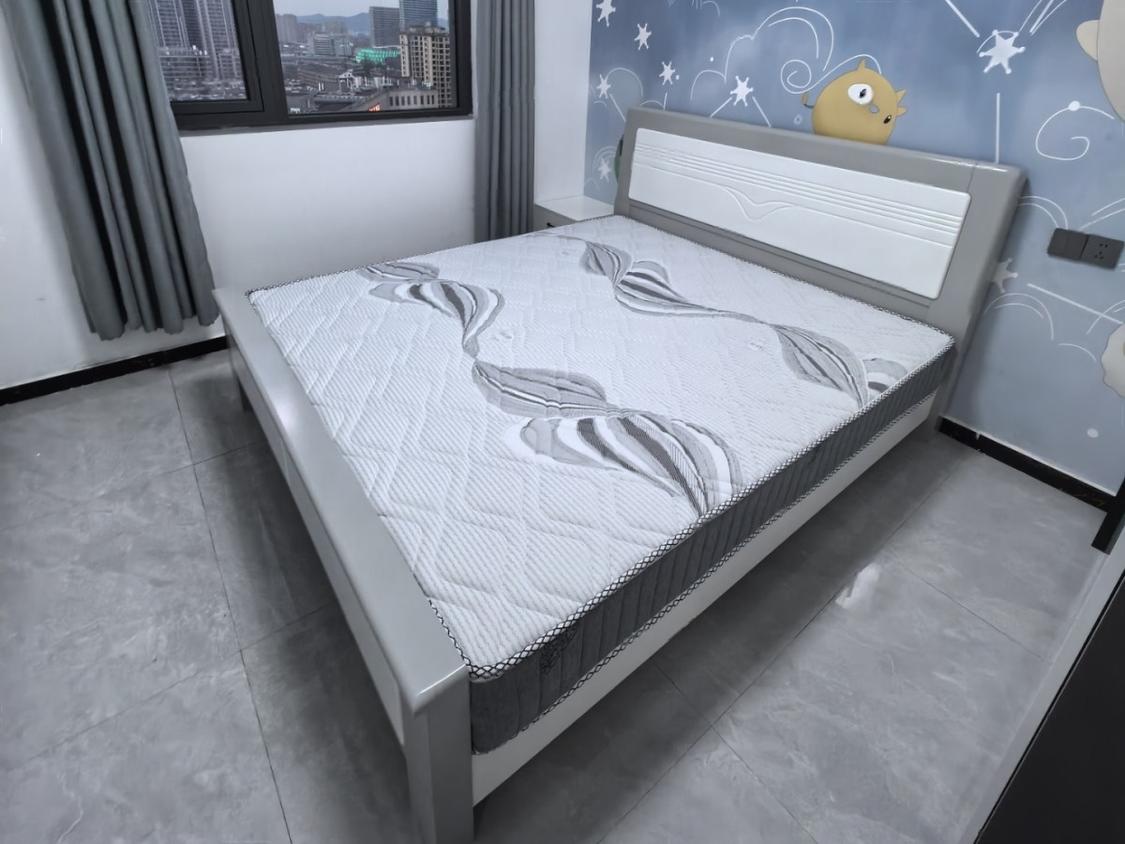 整租·春语明轩(北苑)