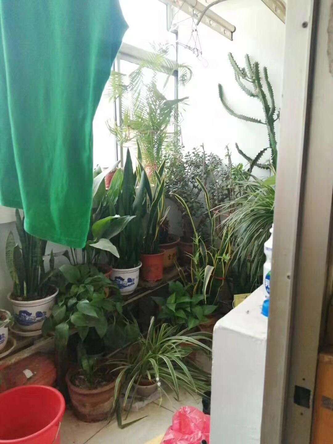 整租·龙虎小区