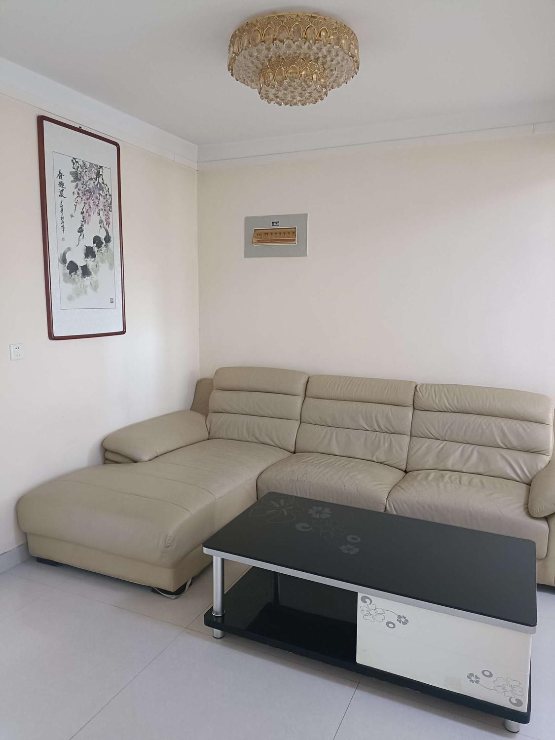 整租·藏龙福地