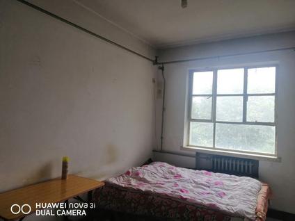 桥西玉村整租 河北经贸大学教工宿舍2室1厅/62平/顶层