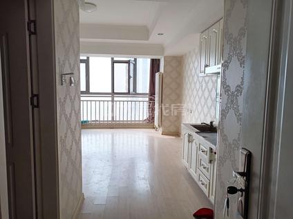 临渭临渭整租 万达广场(新区东路)1室0厅/45平/高楼层