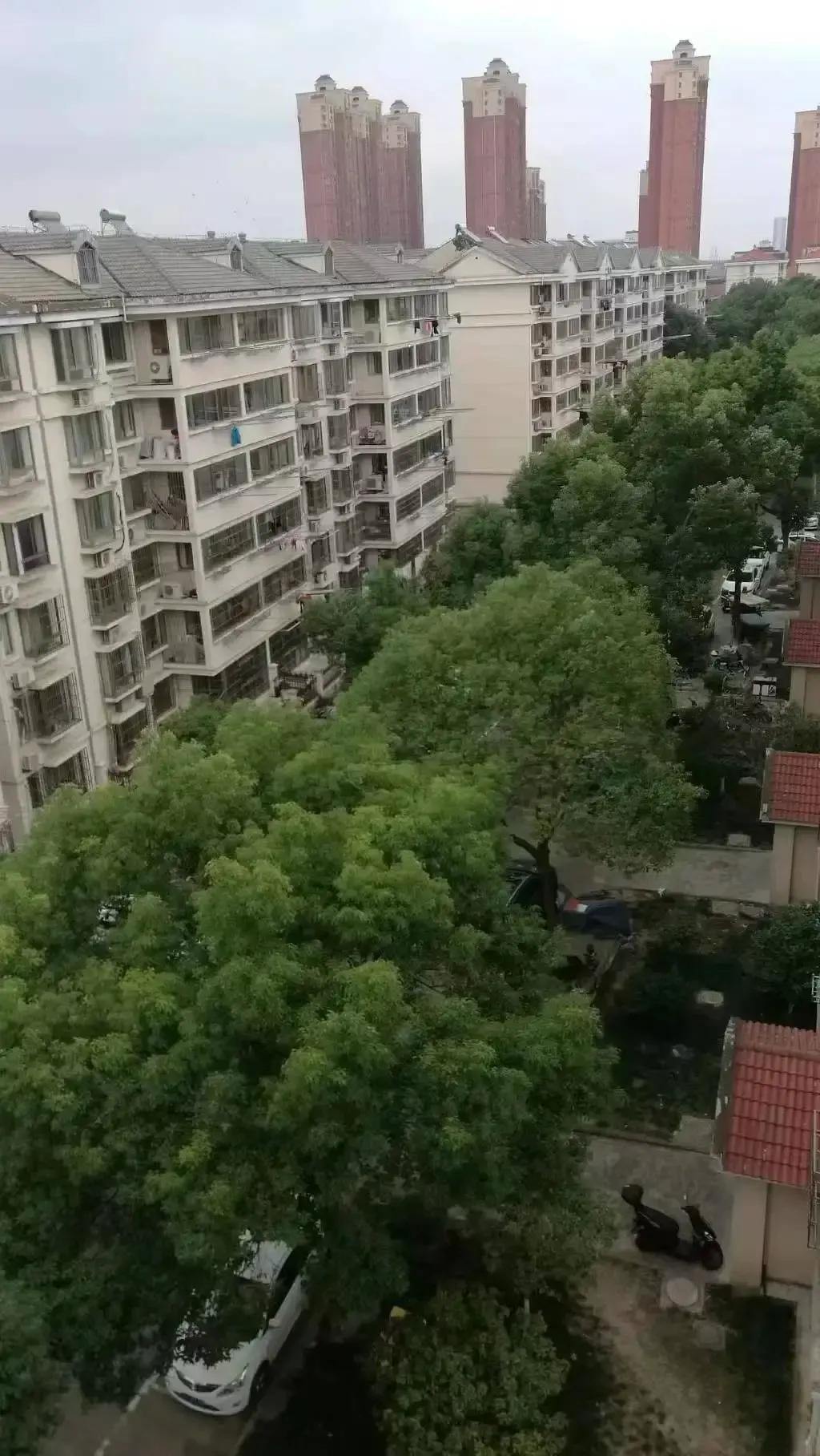 整租·玉乐小区