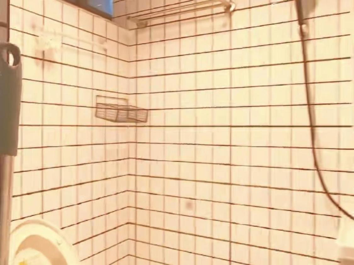 整租·杜湖名庭