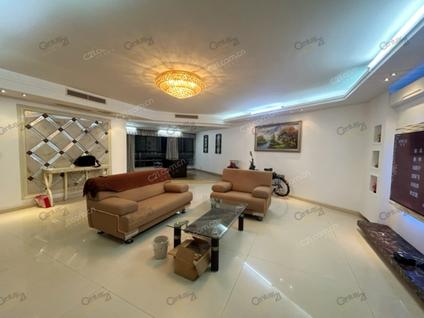 鹿城南门整租 联合广场4室2厅/192平/低楼层