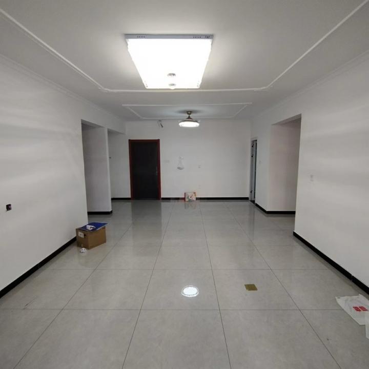 整租·梧桐树