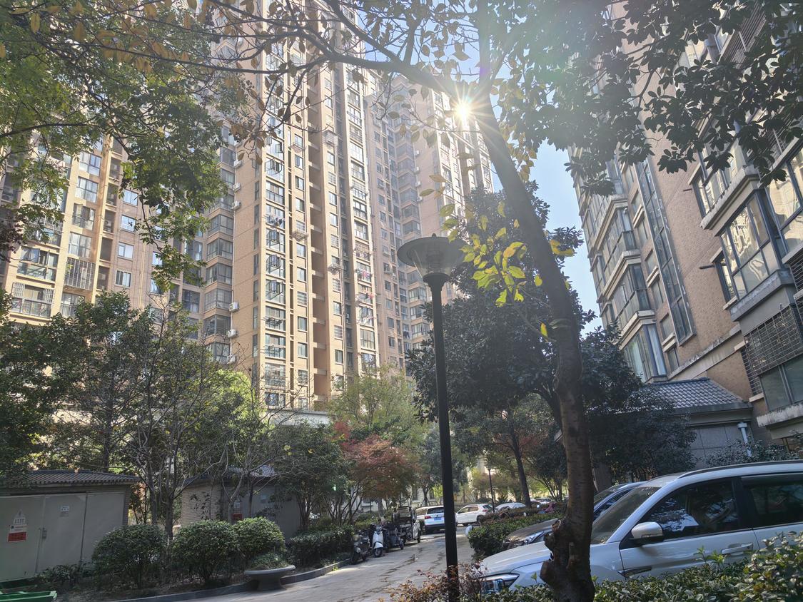 整租·中央华府