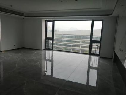 集美集美新城整租 天境云著4室2厅/242平/低楼层