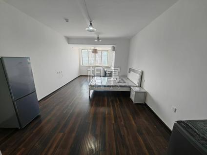 上城南肖埠整租 新城市广场1室1厅/53平/高楼层