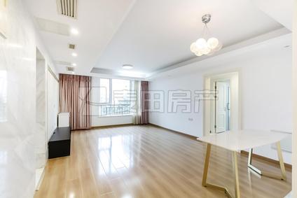 朝阳东大桥整租 圣世一品2室2厅/115平/低楼层