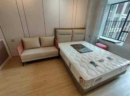 东源东源整租 浩创花语城1室0厅/36平/中楼层