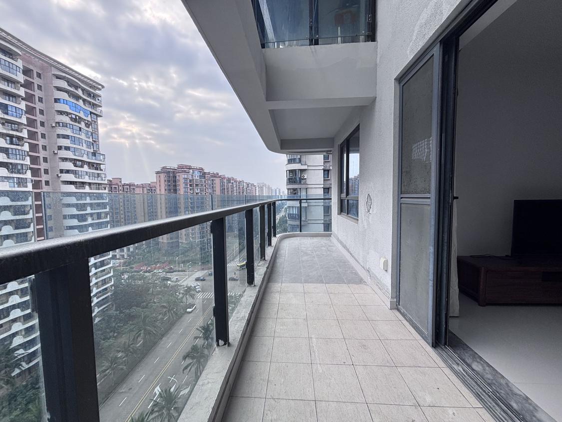 整租·天地凤凰城