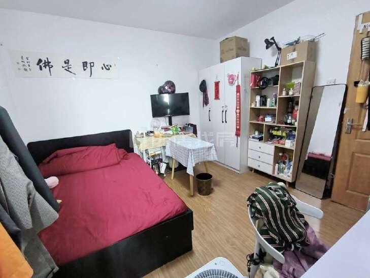 合租·柏林爱乐(二期)