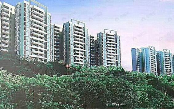 超亮御景台效果图