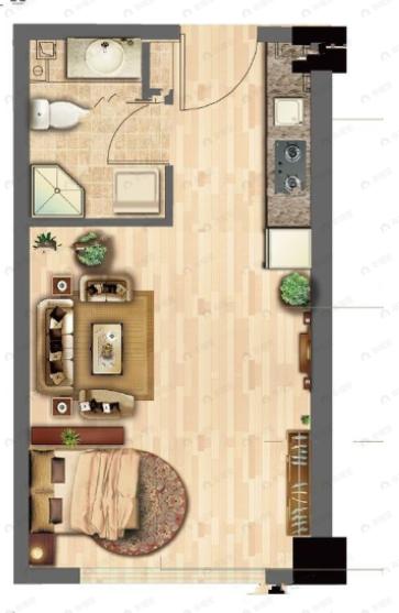 中房玺云台北区1室1厅1卫户型图