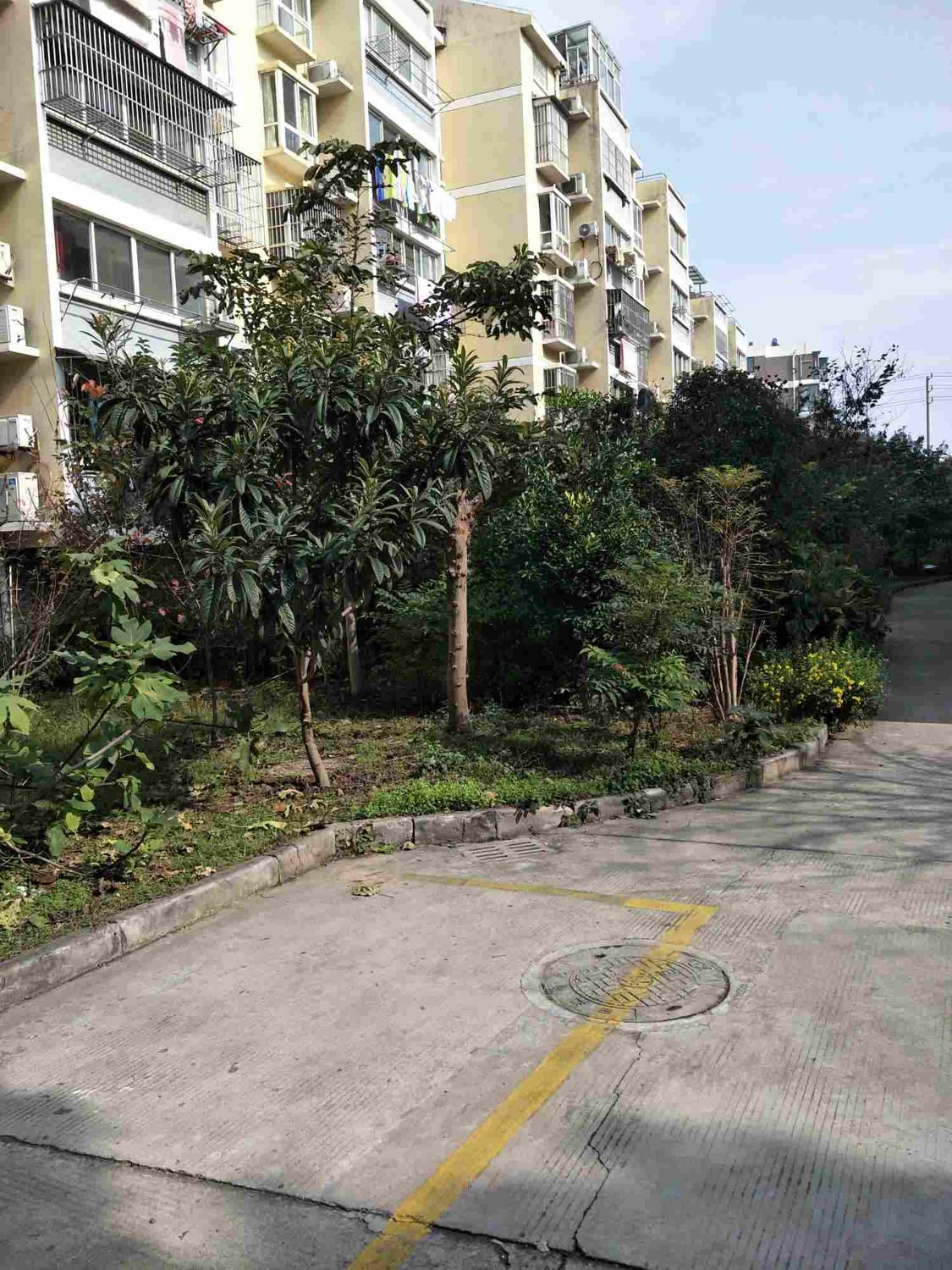 整租·曲江新苑