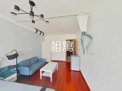 浦东陆家嘴整租 崂山四村1室1厅/30平/高楼层