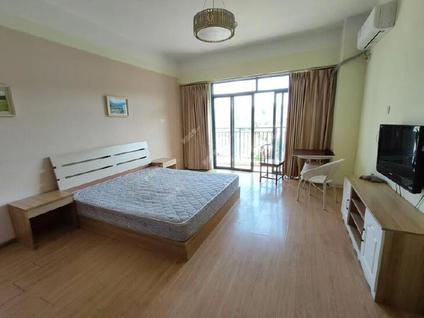 盘龙金殿整租 都市名典1室1厅/46平/中楼层