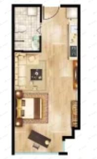 源盛水岸国际1室1厅1卫户型图