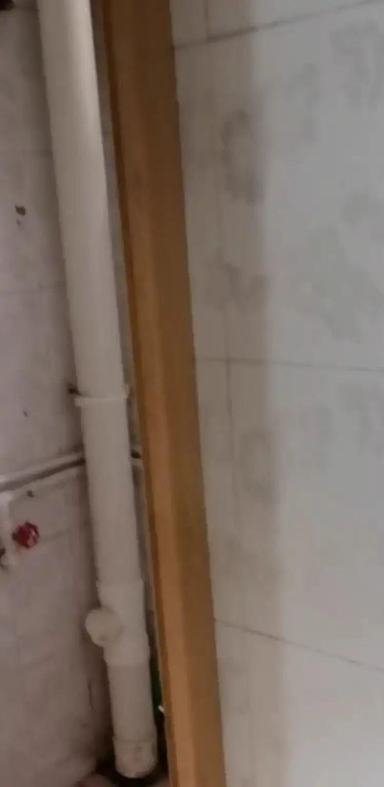 整租·湘氮1区