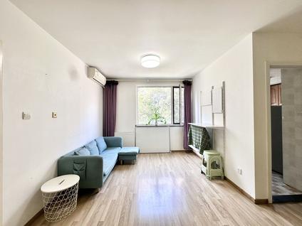 朝阳太阳宫整租 金星园1室1厅/63平/低楼层