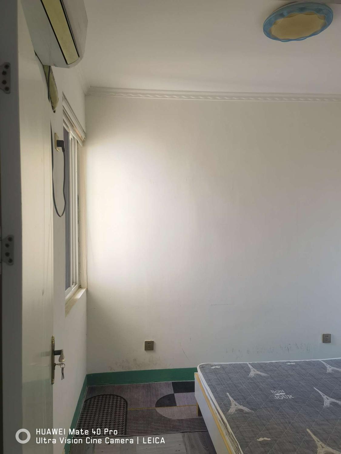 整租·花王新村