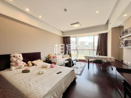 滨江滨江区政府整租 星光国际公馆首座1室1厅/54平/中楼层