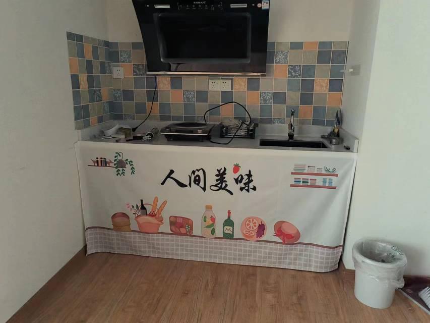 整租·龙湖新壹城