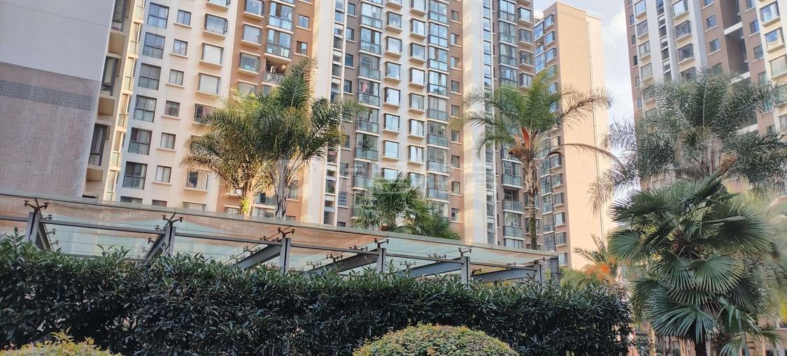 整租·云南映象(城市公园广场)