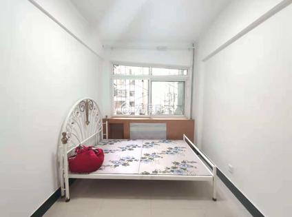 城关西关南关整租 飞阳家园1室2厅/51平/低楼层
