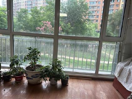 房山长阳整租 九洲溪雅苑(二区)3室1厅/158平/低楼层