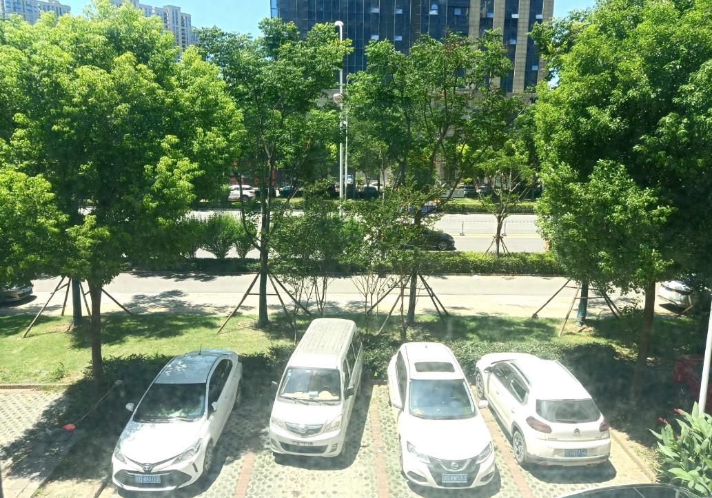 整租·万达华府