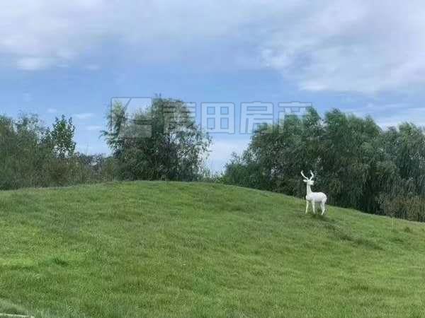 整租·龙湾别墅