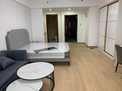 普陀真如整租 星河世纪城(MINI公馆)1室1厅/48平/中楼层