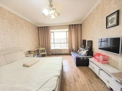 南明花果园整租 花果园(一期)1室1厅/40平/中楼层