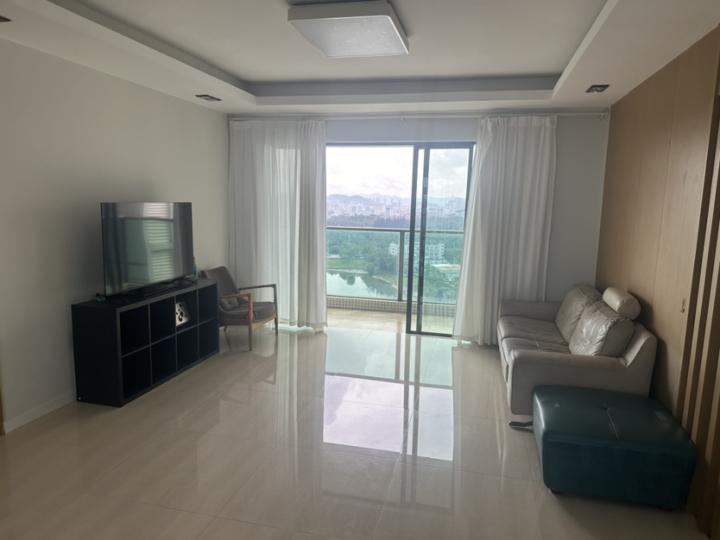 整租·金湖峰景