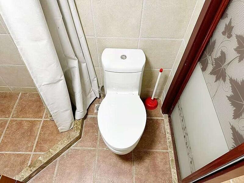 整租·绿地峰尚汇