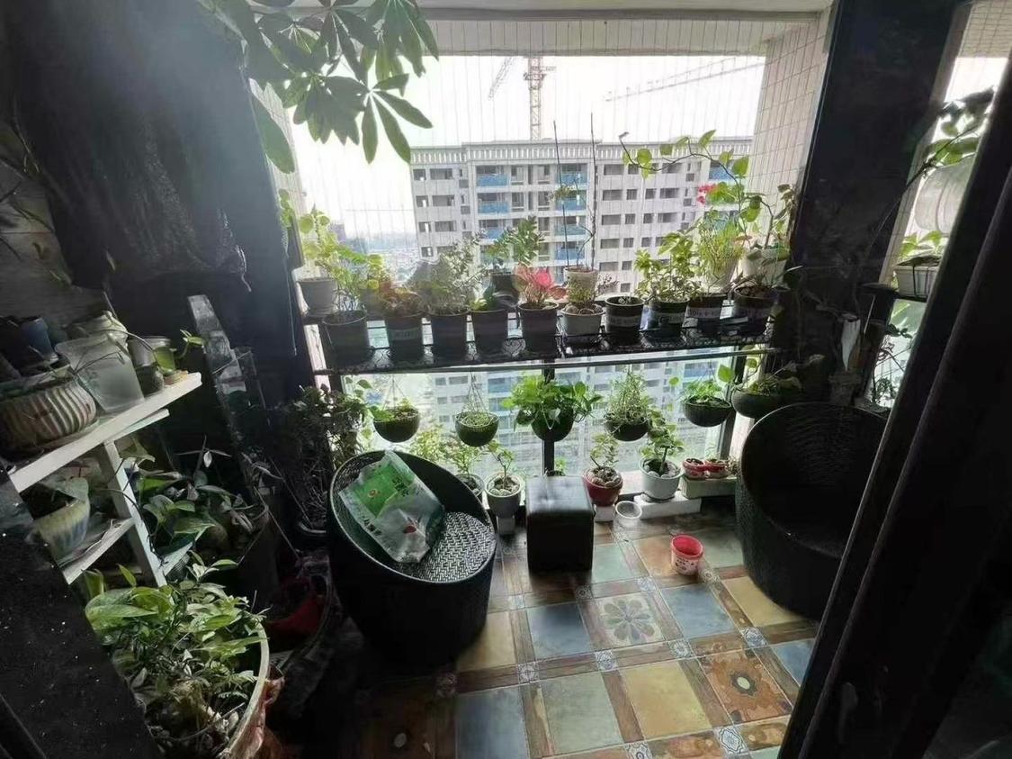 整租·上东华府