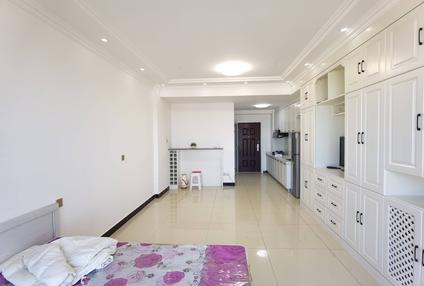 红山桥北新区整租 龙腾国际1室1厅/55平/高楼层